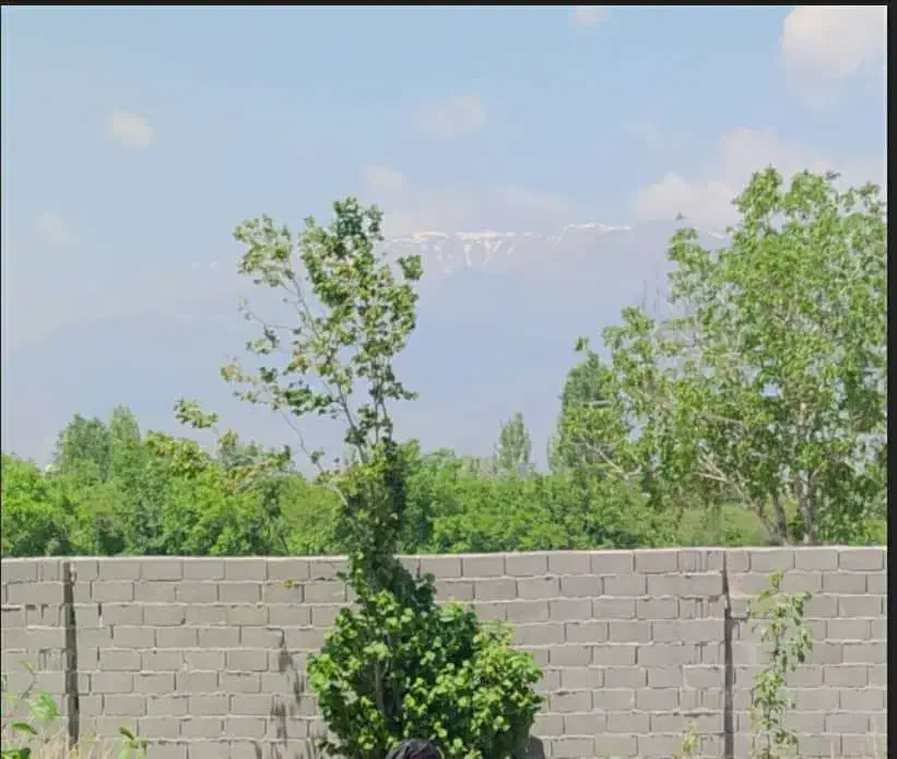 باغ با سند تک برگ داخل شهر بسطام امامزاده سی سر|فروش زمین و ملک کلنگی|بسطام, |دیوار