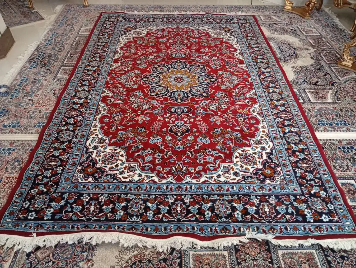 فرش ماشینی کاشان|فرش|تربت جام, میان جام|دیوار