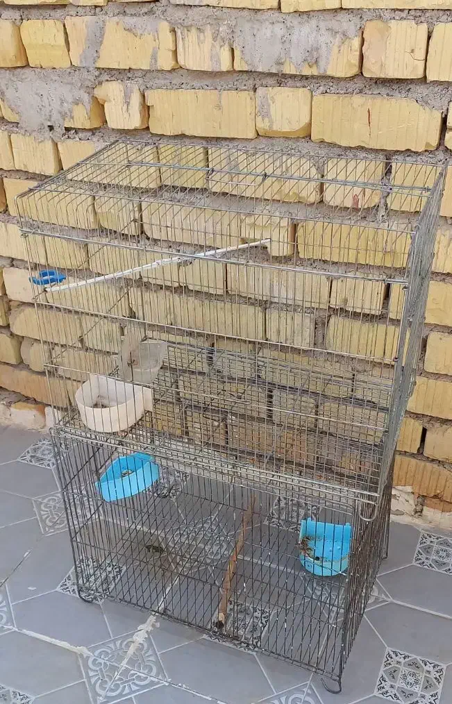 قفس پرنده|لوازم جانبی حیوانات|فسا, |دیوار