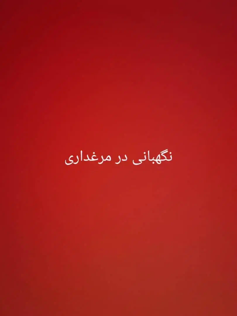 نگهبانی|استخدام سرایداری و نظافت|مراغه, |دیوار