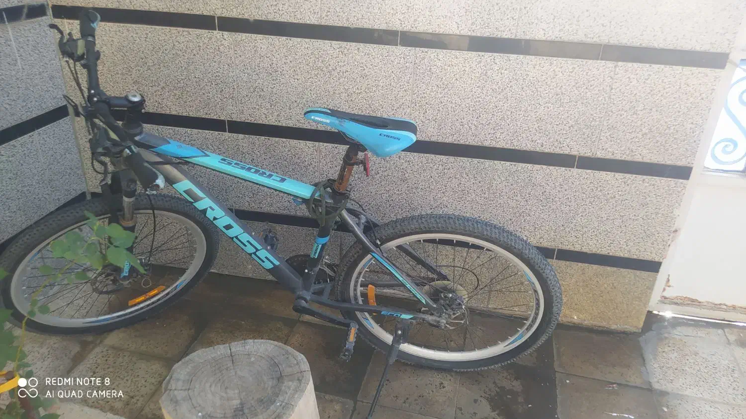 دوچرخه|دوچرخه، اسکیت، اسکوتر|لالی, |دیوار