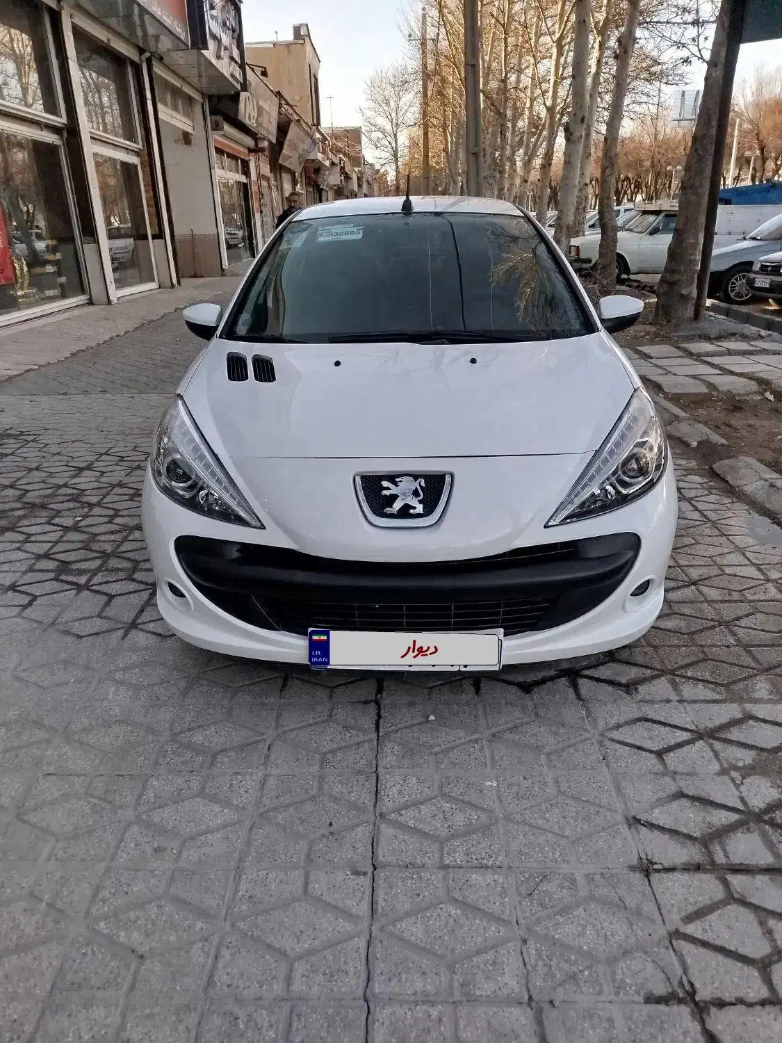 207 تیوفایو مدل 1402|خودرو سواری و وانت|بروجرد, |دیوار