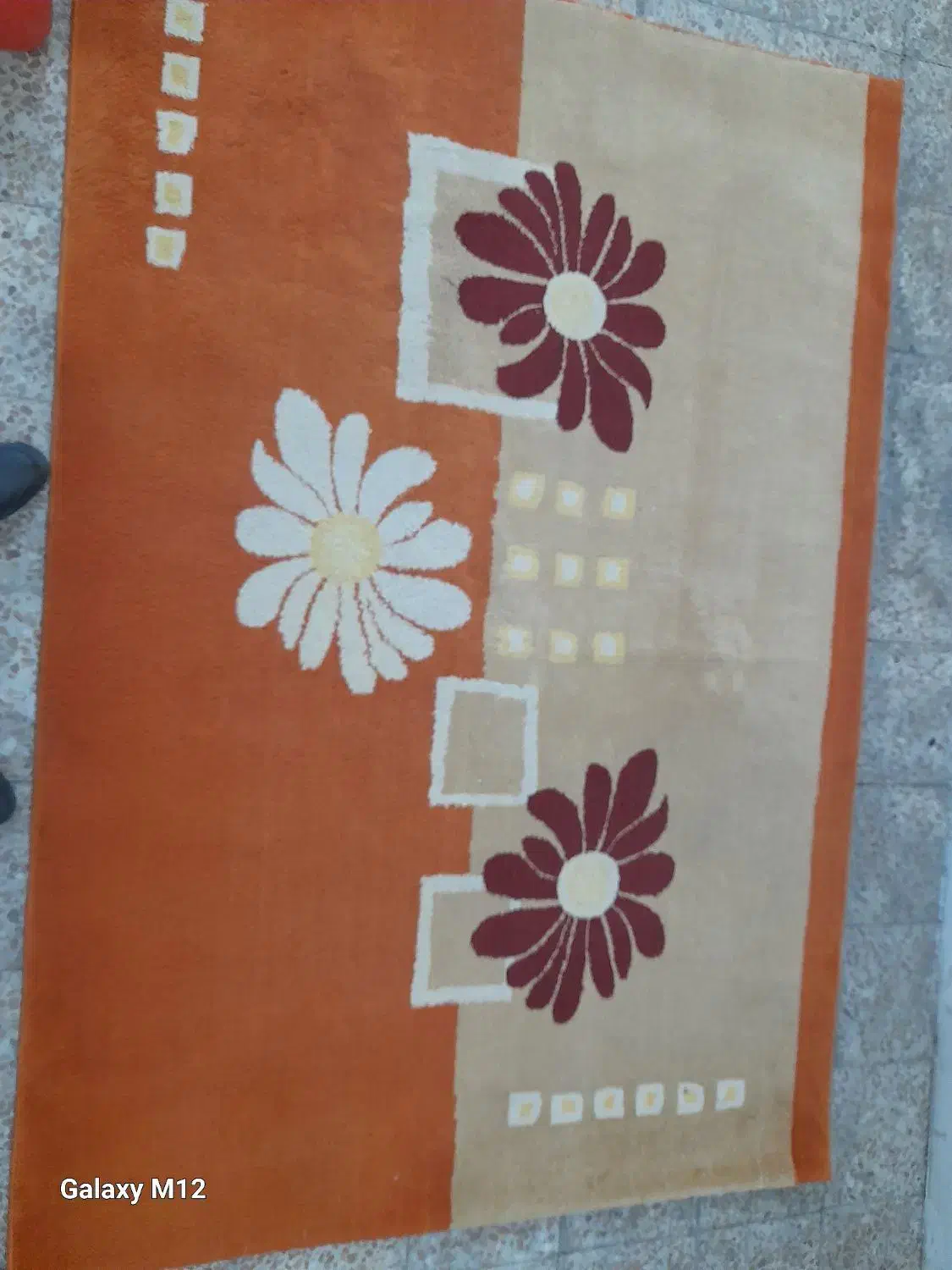 پالاز موکت(هالی)|موکت|تبریز, |دیوار