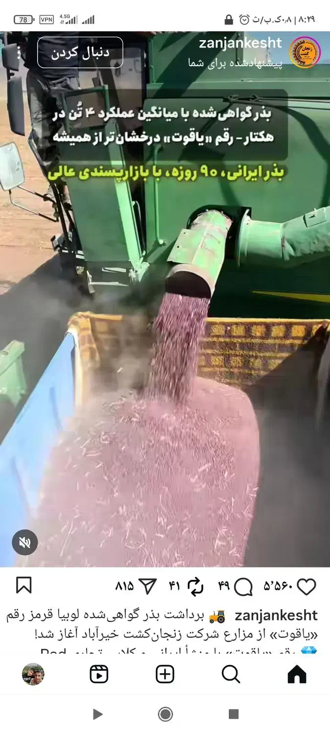 کاه لوبیا چیتی|خدمات باغبانی و درختکاری|تیکمه داش, |دیوار