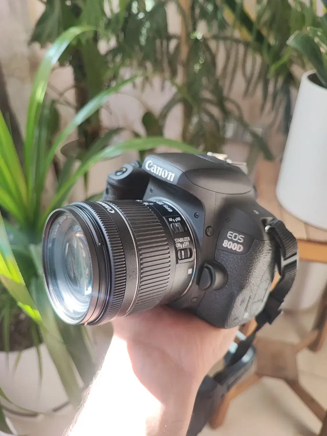 دوربین عکاسی Cannon 800D|دوربین عکاسی و فیلم‌برداری|شیراز, باغ تخت|دیوار