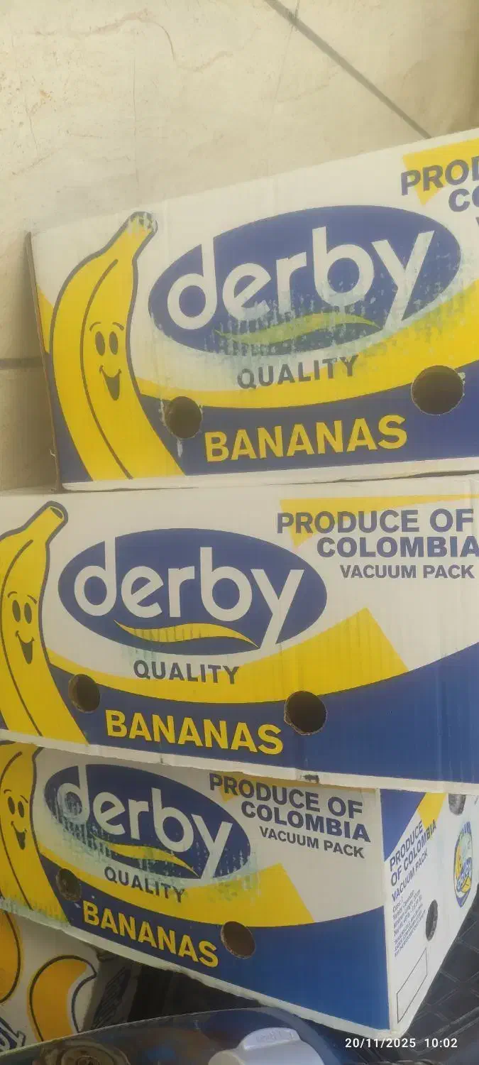 کارتن موزی جنس محکم|ابزارآلات|سبزوار, سیادتی|دیوار