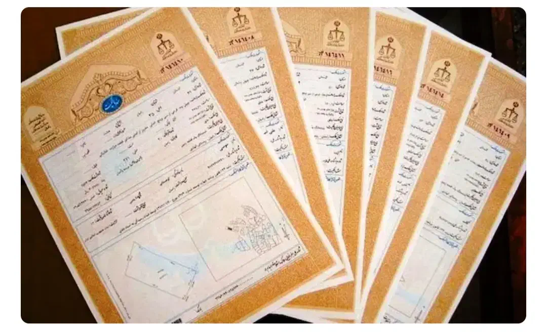 دریافت سند تک برگ|خدمات مالی، حسابداری، بیمه|شیراز, گلشن|دیوار