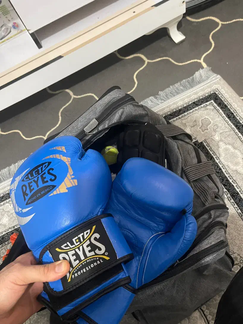 دستکش بوکس|تجهیزات ورزشی|ارومیه, |دیوار