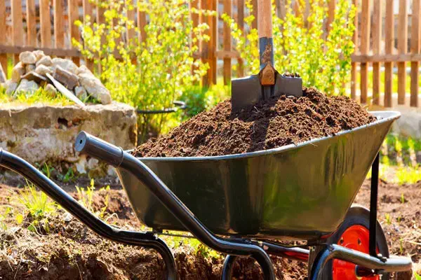 خاک باغچه مخلوط با کود حیوانی|خدمات باغبانی و درختکاری|فومن, |دیوار