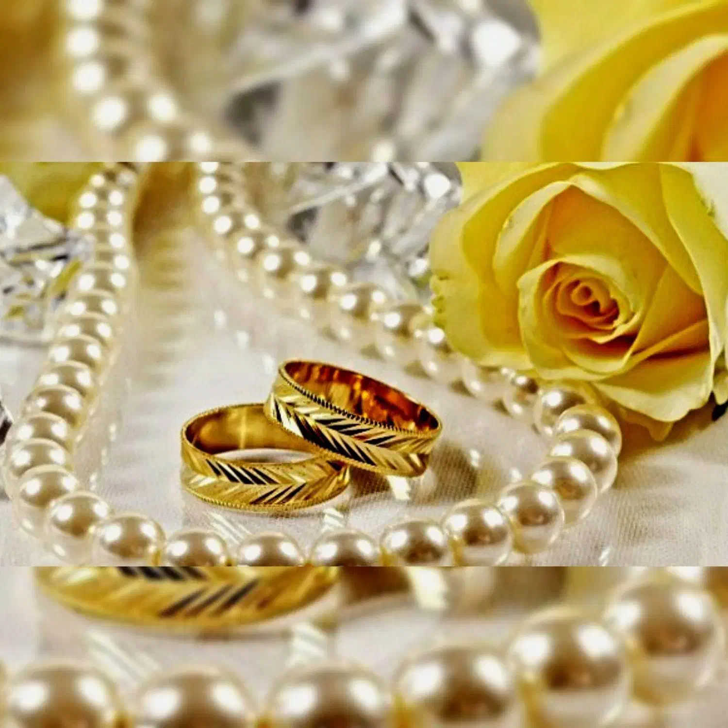 عاقدسید/صیغهنامه/عقدموقت/دفترازدواج/با مهر برجسته|خدمات پذیرایی، مراسم|قم, نیروگاه|دیوار