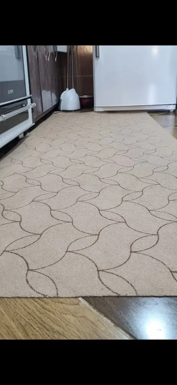 موکت|موکت|دوگنبدان, |دیوار