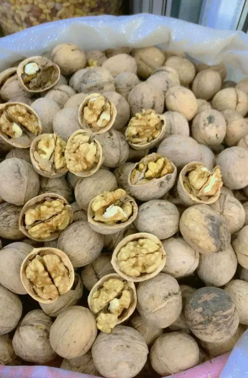 کاغذی پوست نازک|عمدهفروشی|نهاوند, |دیوار