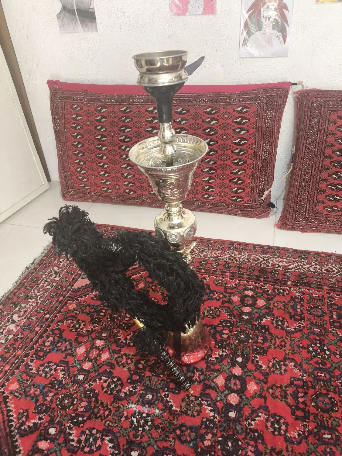 قلیان|کلکسیون و سرگرمی|کرج, بنیاد|دیوار