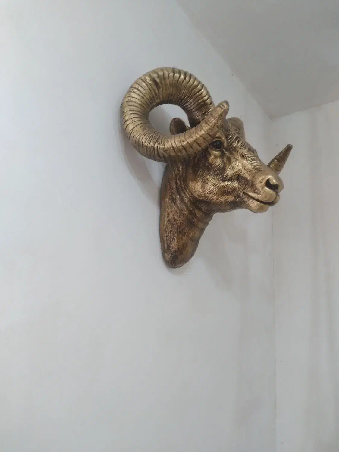 تزئینی مجسمه نماد بز کوهی (کل)|مجسمه، تندیس، ماکت|تولم شهر, |دیوار