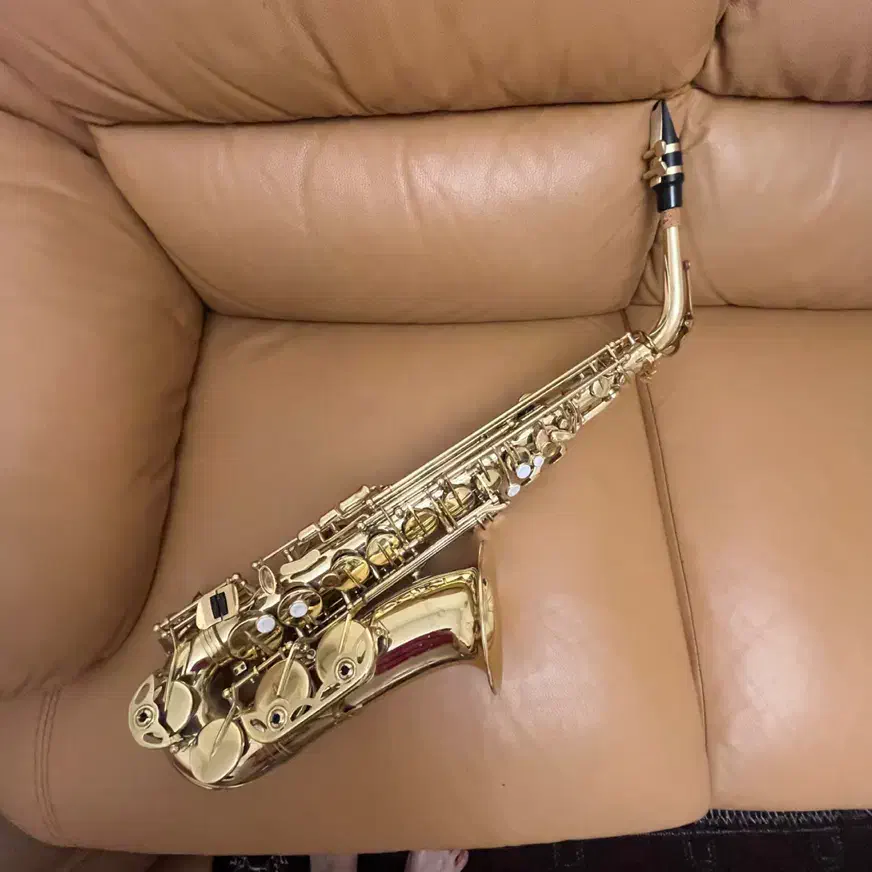 ساکسیفون جینبائو|سازهای بادی|تهران, پاسداران|دیوار