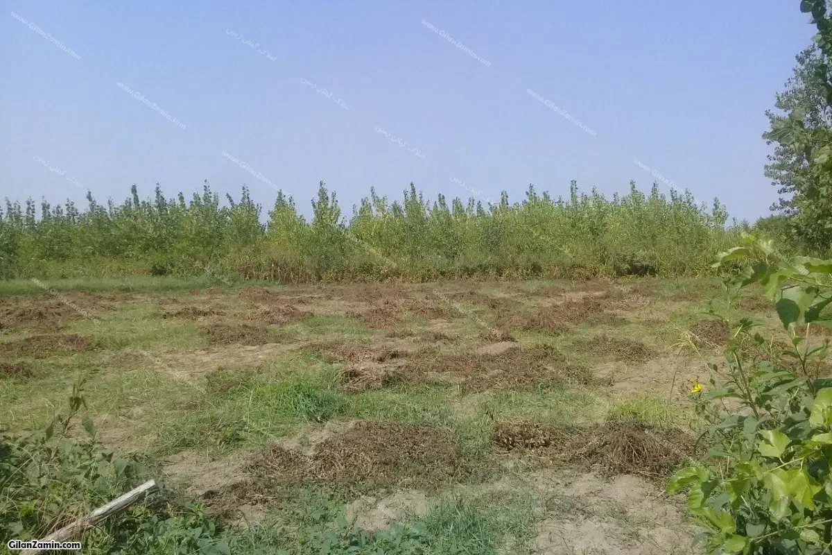 فروش باغ ویلایی|فروش زمین و ملک کلنگی|شیراز, حومه شیراز|دیوار