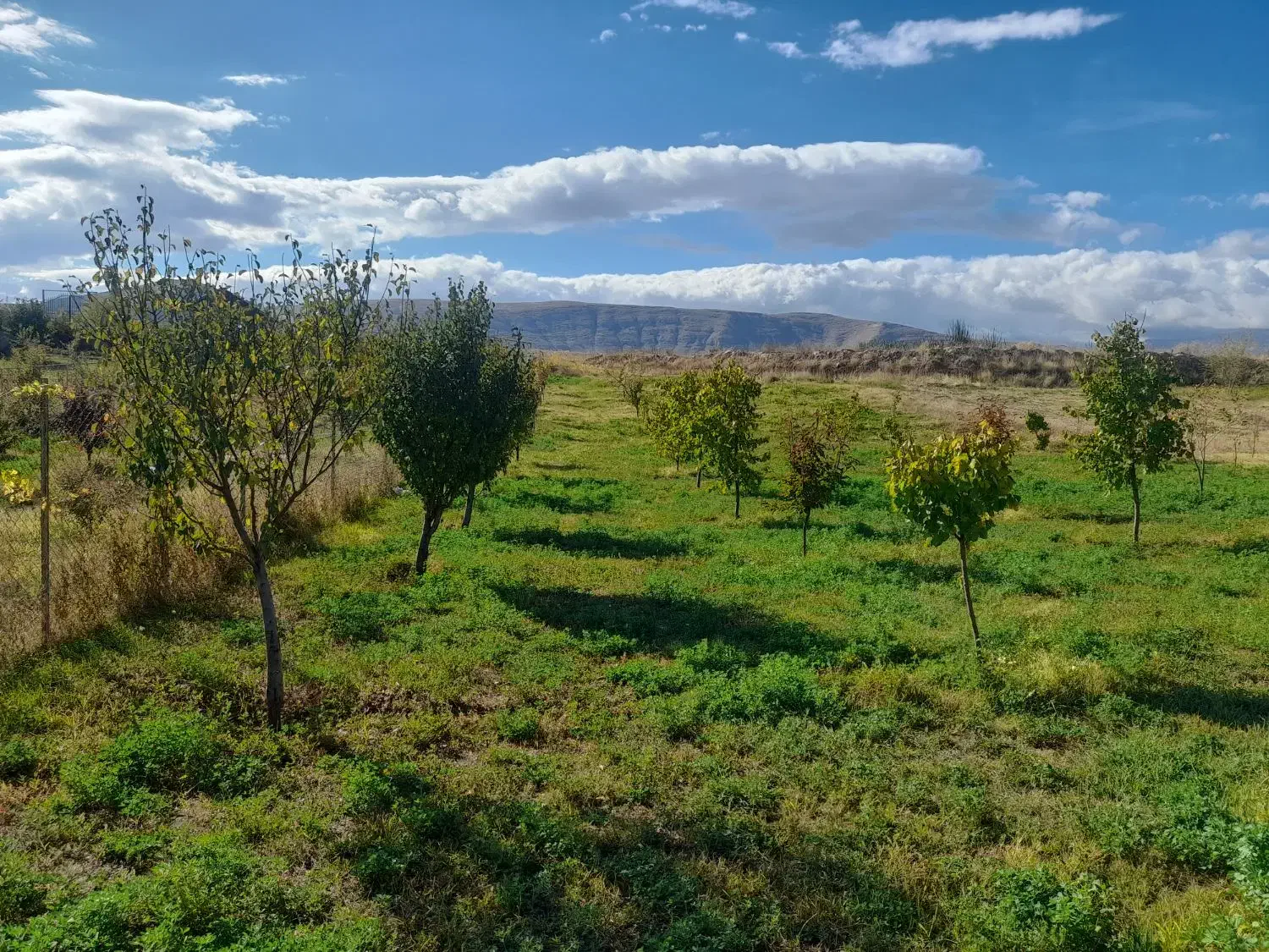 زمین زراعی|فروش زمین و ملک کلنگی|بازرگان, |دیوار