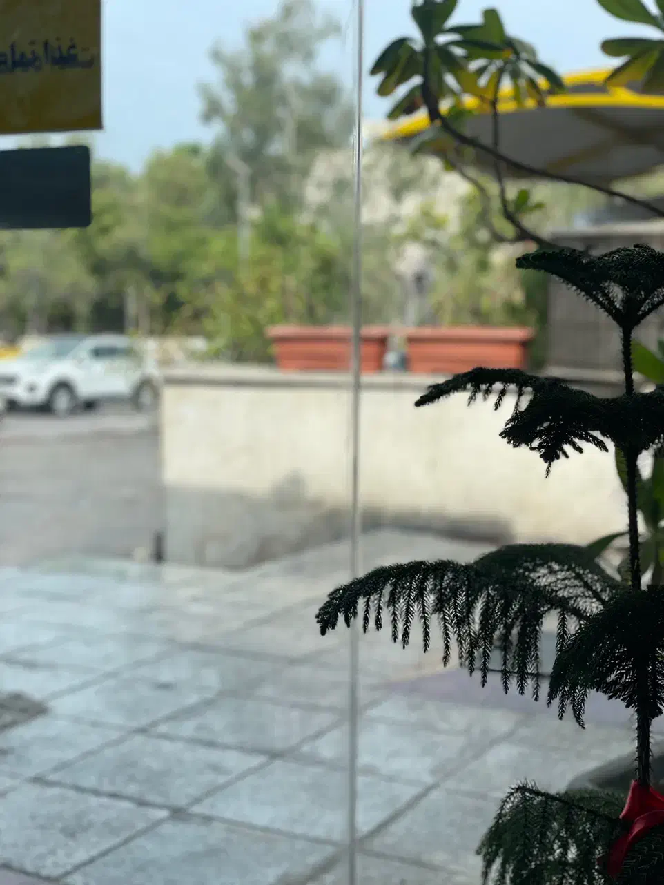 لب تاب دل گمشده|اشیا|کیش, |دیوار