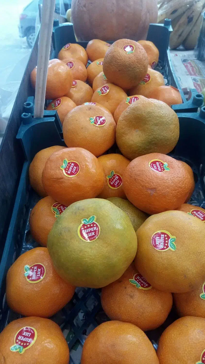 قیمت به روز میوه|خوردنی و آشامیدنی|کاشان, میدان کهنه|دیوار