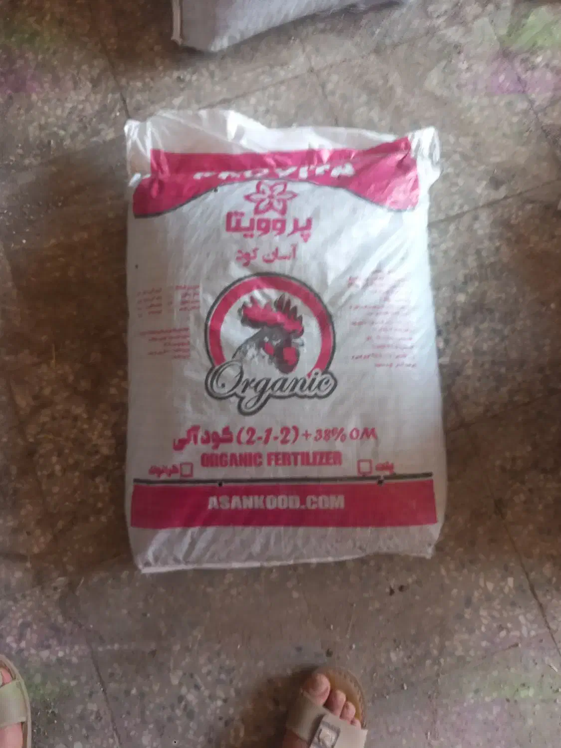 کودمرغی پلیت|خدمات باغبانی و درختکاری|دهلران, |دیوار