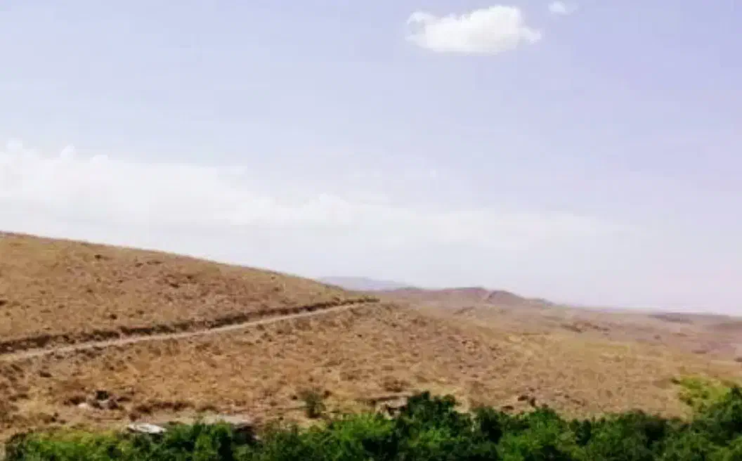 زمین ۳۲۶۰ متر ،سند تک برگ شخصی طرقبه مایون|فروش دفتر صنعتی، کشاورزی، تجاری|مشهد, آبادگران|دیوار