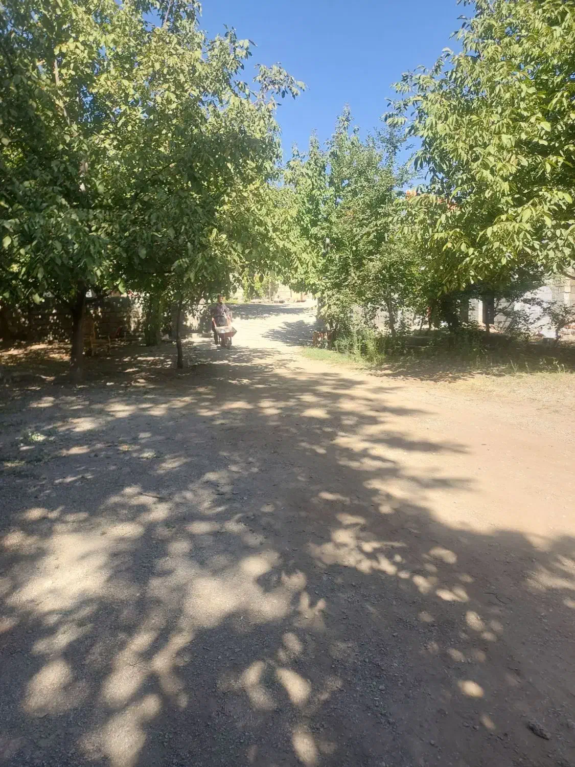 اجاره باغ وسوییت|اجارهٔ کوتاه‌مدت ویلا و باغ|بیستون, |دیوار