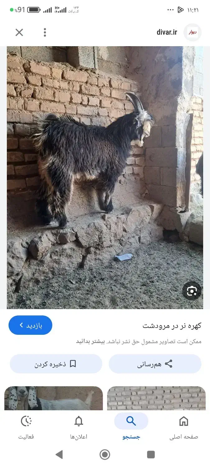 کهره نر|حیوانات مزرعه|دهدشت, |دیوار