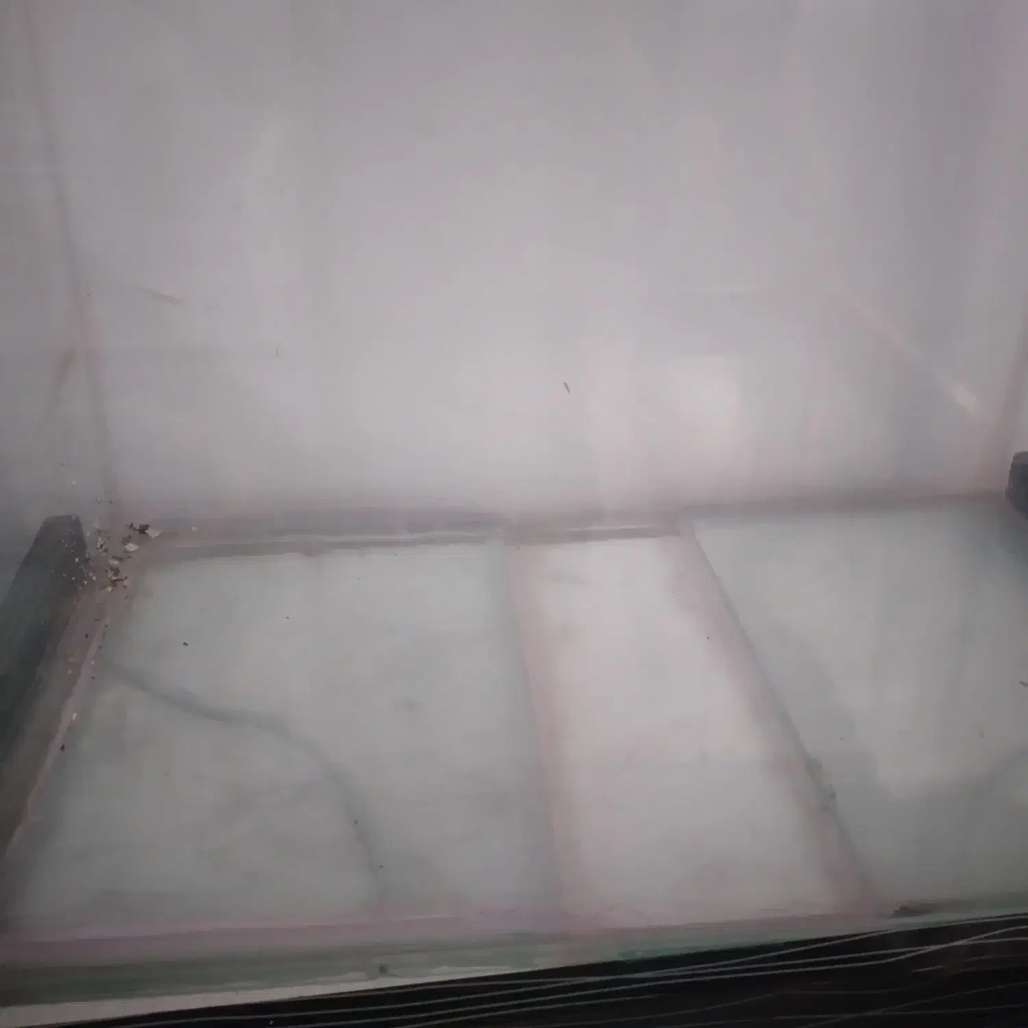 آکواریوم|ماهی|محمدشهر, سیدآباد|دیوار