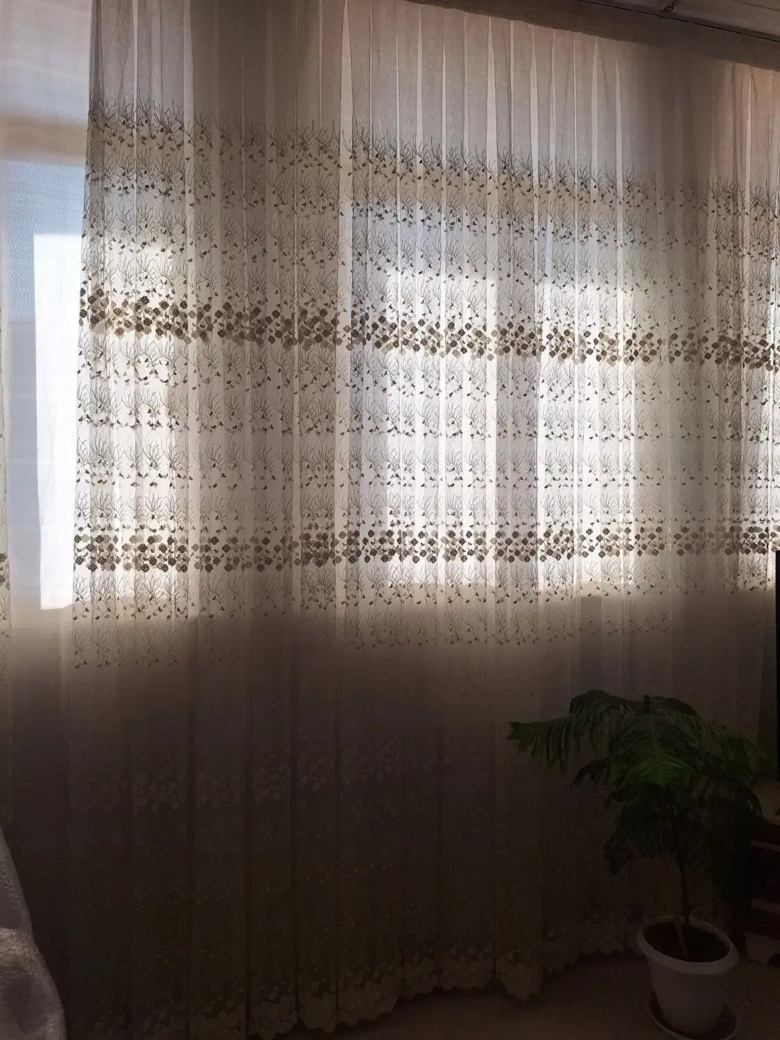 پرده|پرده، رانر، رومیزی|قم, شهرک امام حسن|دیوار