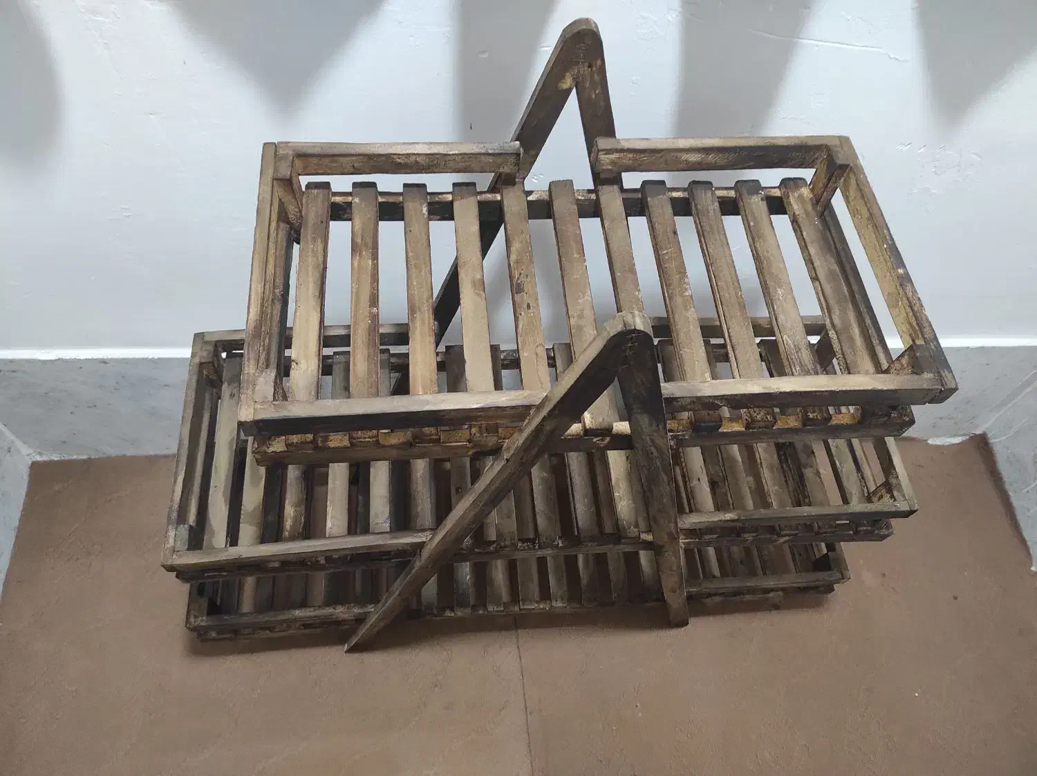 استند گل|گل و گیاه طبیعی|سبزوار, قصبه اب یمین|دیوار