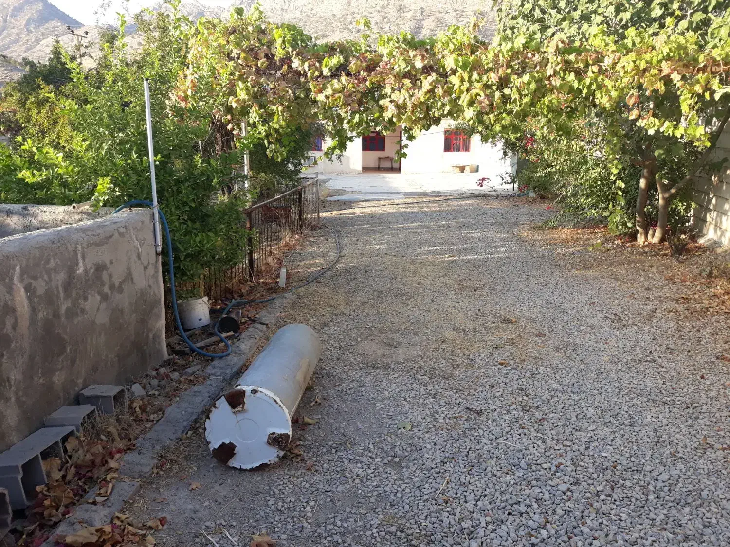 باغ ویلایی در گناوه لری|فروش خانه و ویلا|دوگنبدان, |دیوار