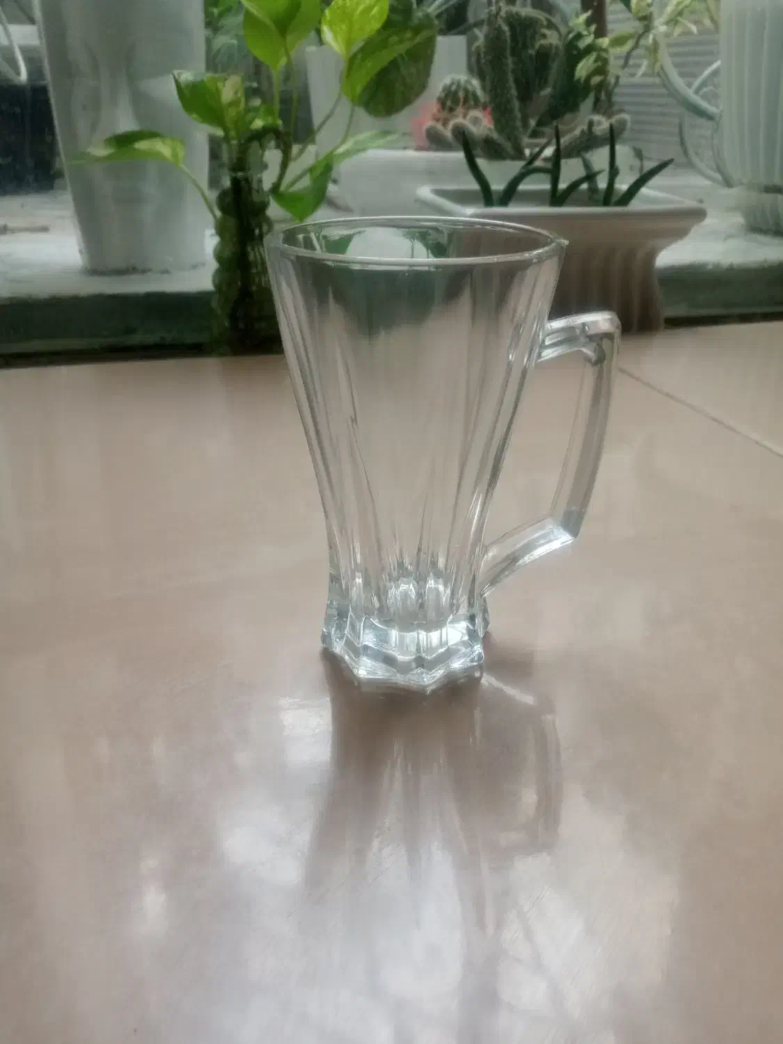 ظروف اشپزخانه|ظروف سرو و پذیرایی|تربت جام, شاهد|دیوار