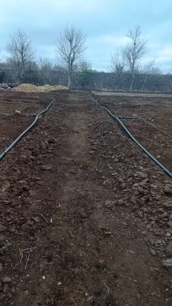 آبیاری قطره ای و فضای سبز روف گاردن|خدمات باغبانی و درختکاری|قم, شهرک قدس|دیوار