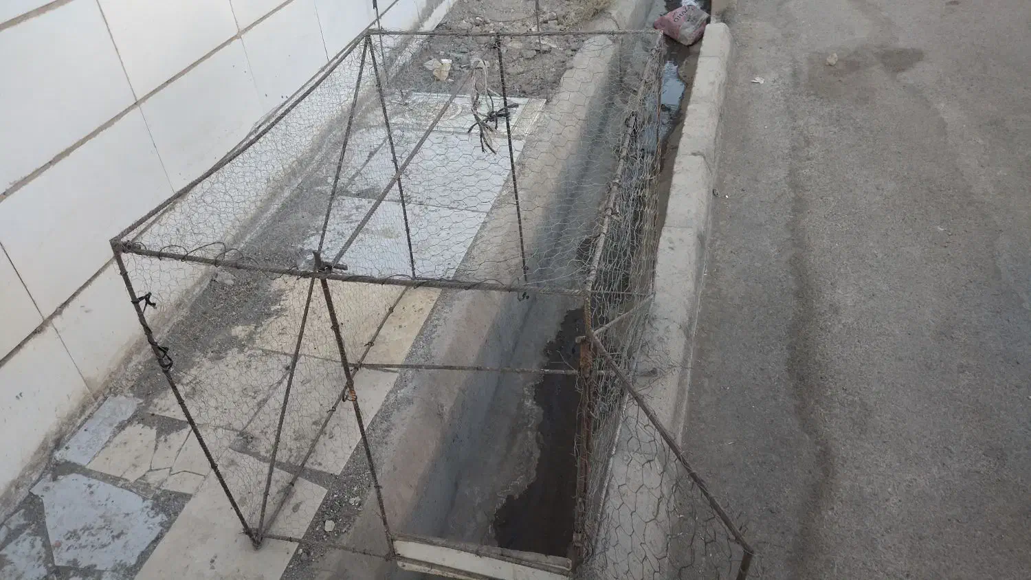 فروشی تعدادی کفتر|پرنده|بیرجند, |دیوار