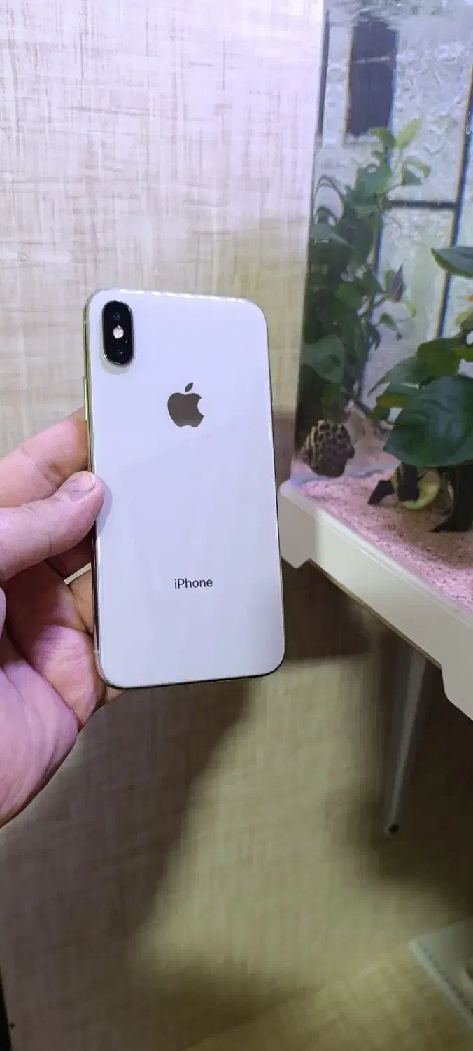 آیفون X 10 لاکاغذی|موبایل|مشهد, جاهد شهر|دیوار