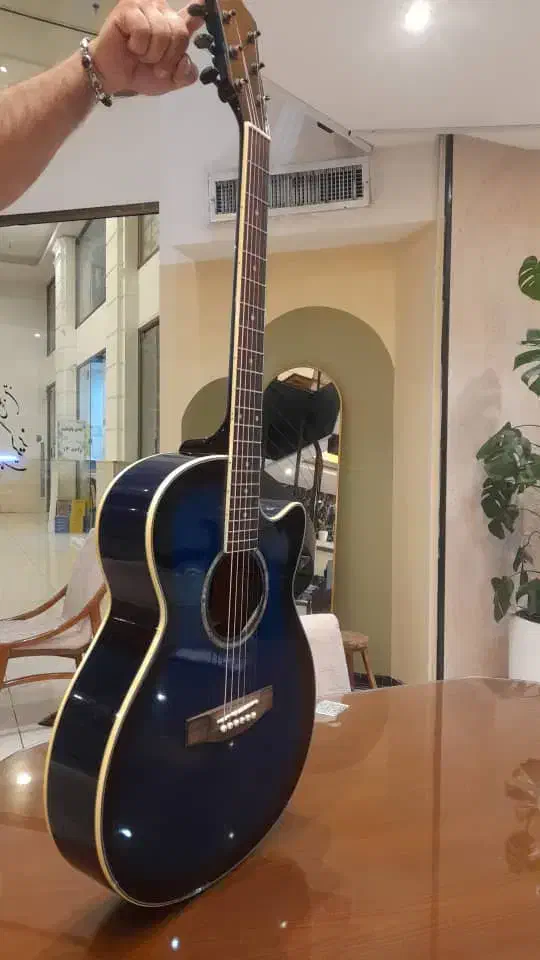 گیتار آگوستیک|گیتار، بیس، امپلیفایر|تهران, فلسطین (میدان انقلاب)|دیوار