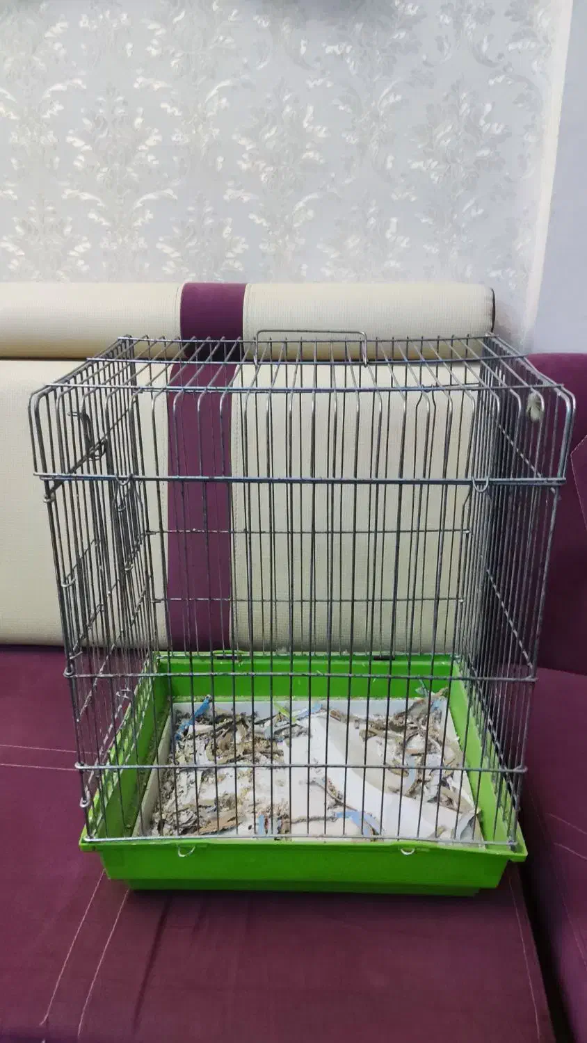 قفس پرنده(قفس مینا)|لوازم جانبی حیوانات|امیدیه, |دیوار