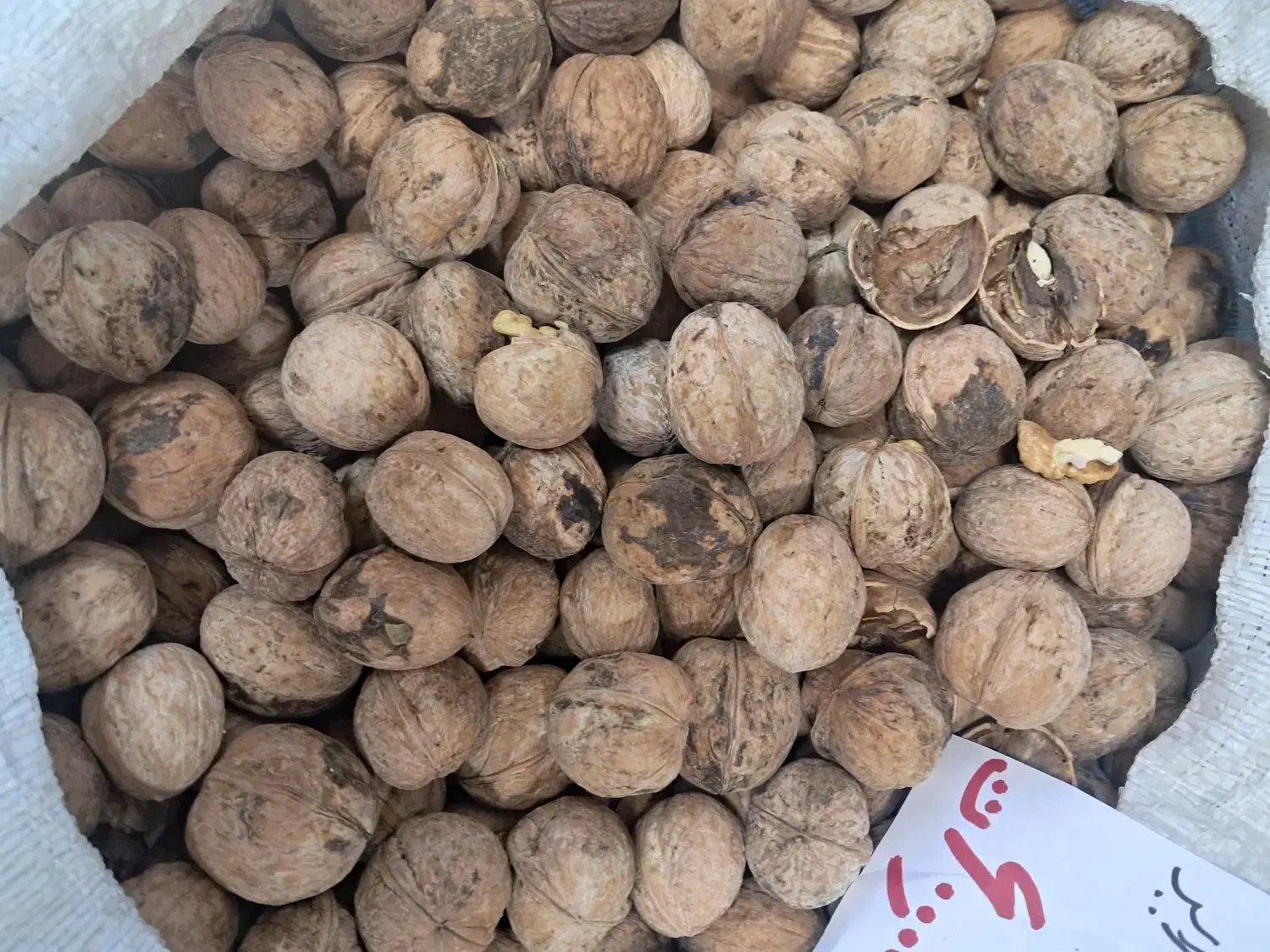 کلوچه و کشمش|خوردنی و آشامیدنی|ملایر, |دیوار