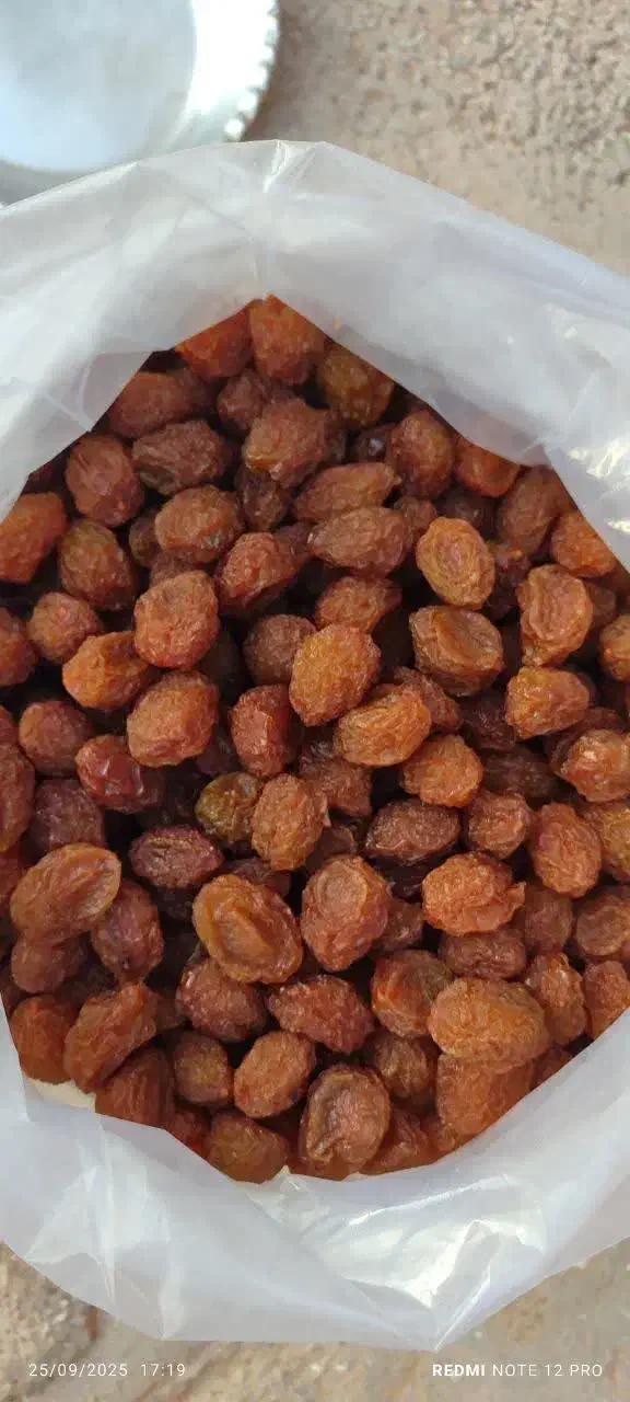 آلو بخارا( بدون موادنگهدارنده کاملا طبیعی )|خوردنی و آشامیدنی|بوشهر, |دیوار