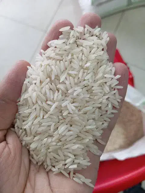 برنج شیرودی|خوردنی و آشامیدنی|کرج, میدان میوه و تره بار مرکزی|دیوار