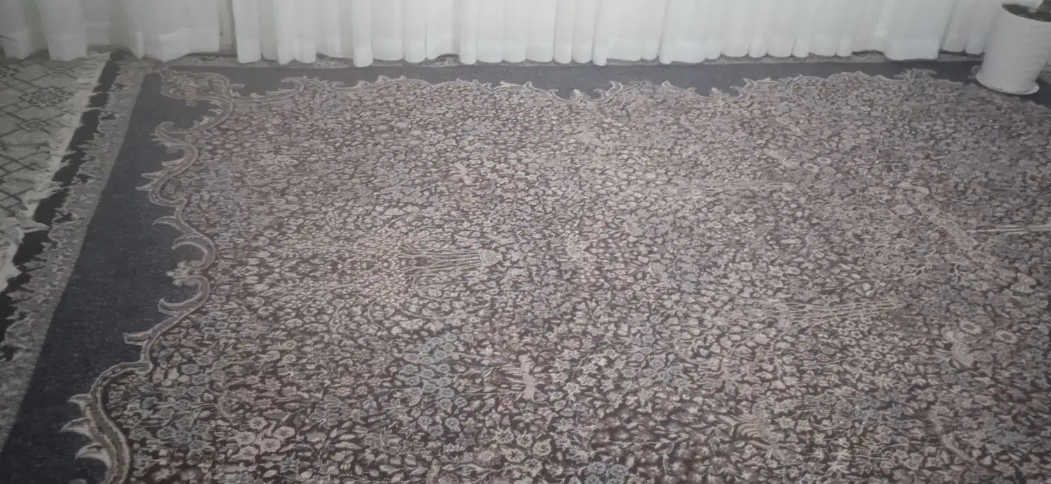 قالی ۱۲ متری تعداد ۲عدد به مبلق دوازده میلیون|فرش|بروجرد, |دیوار