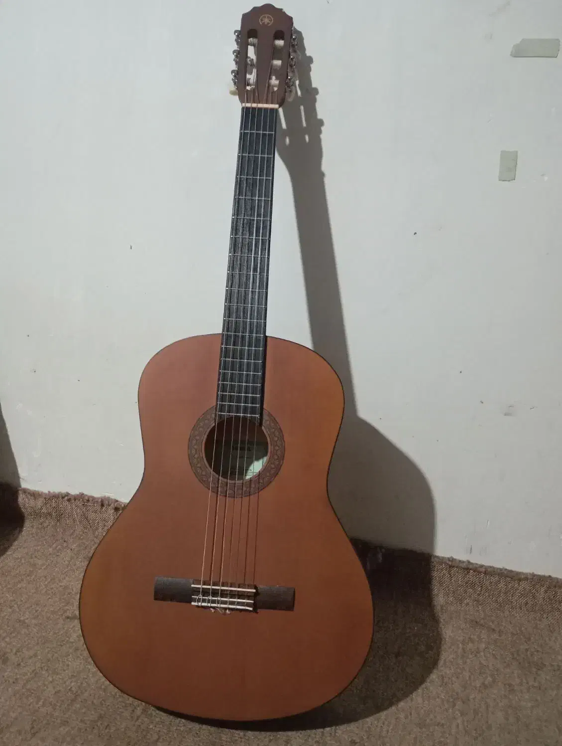 توافقی|گیتار، بیس، امپلیفایر|شریف‌آباد, |دیوار