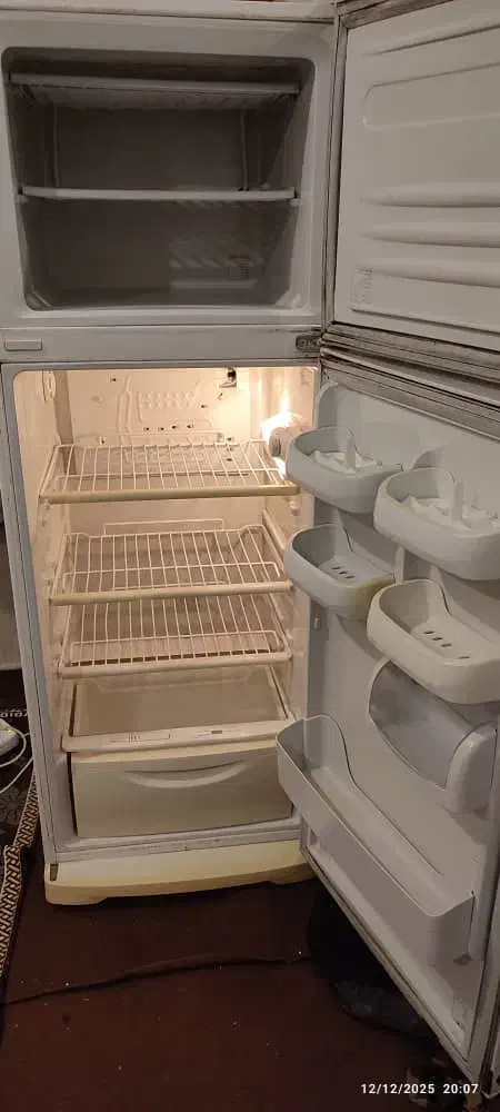 یخچال امرسان|یخچال و فریزر|رشت, کاکتوس|دیوار