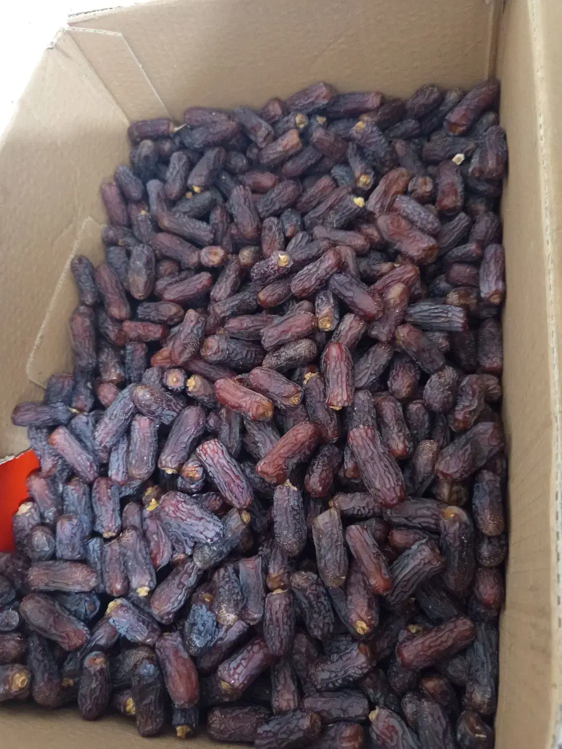 خرما پیاروم خاصویی و..|خوردنی و آشامیدنی|بندرعباس, |دیوار