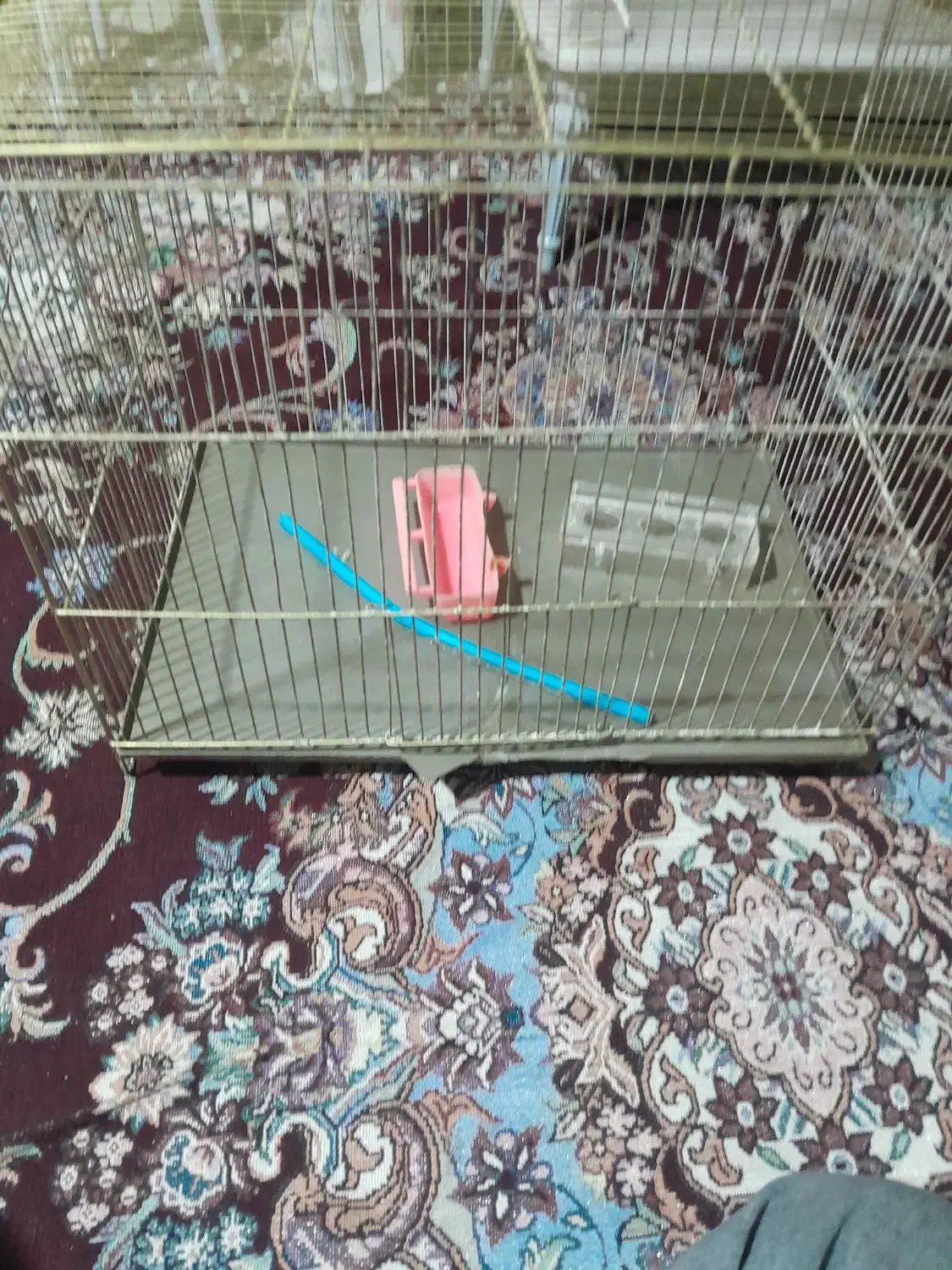 قفس مخصوص نگهداری پرندگان حجم بالا|لوازم جانبی حیوانات|تهران, جوادیه|دیوار