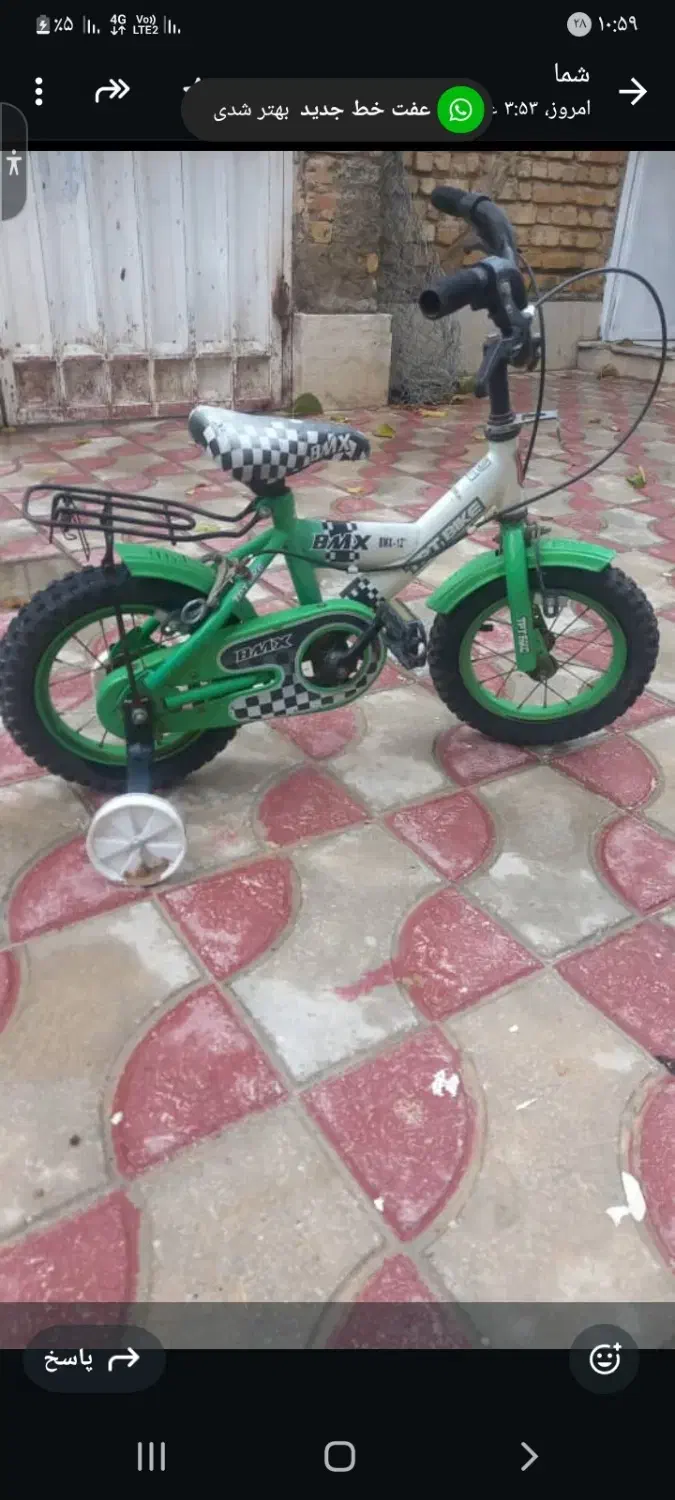 دوچرخه|دوچرخه، اسکیت، اسکوتر|شیراز, کوشک میدان|دیوار