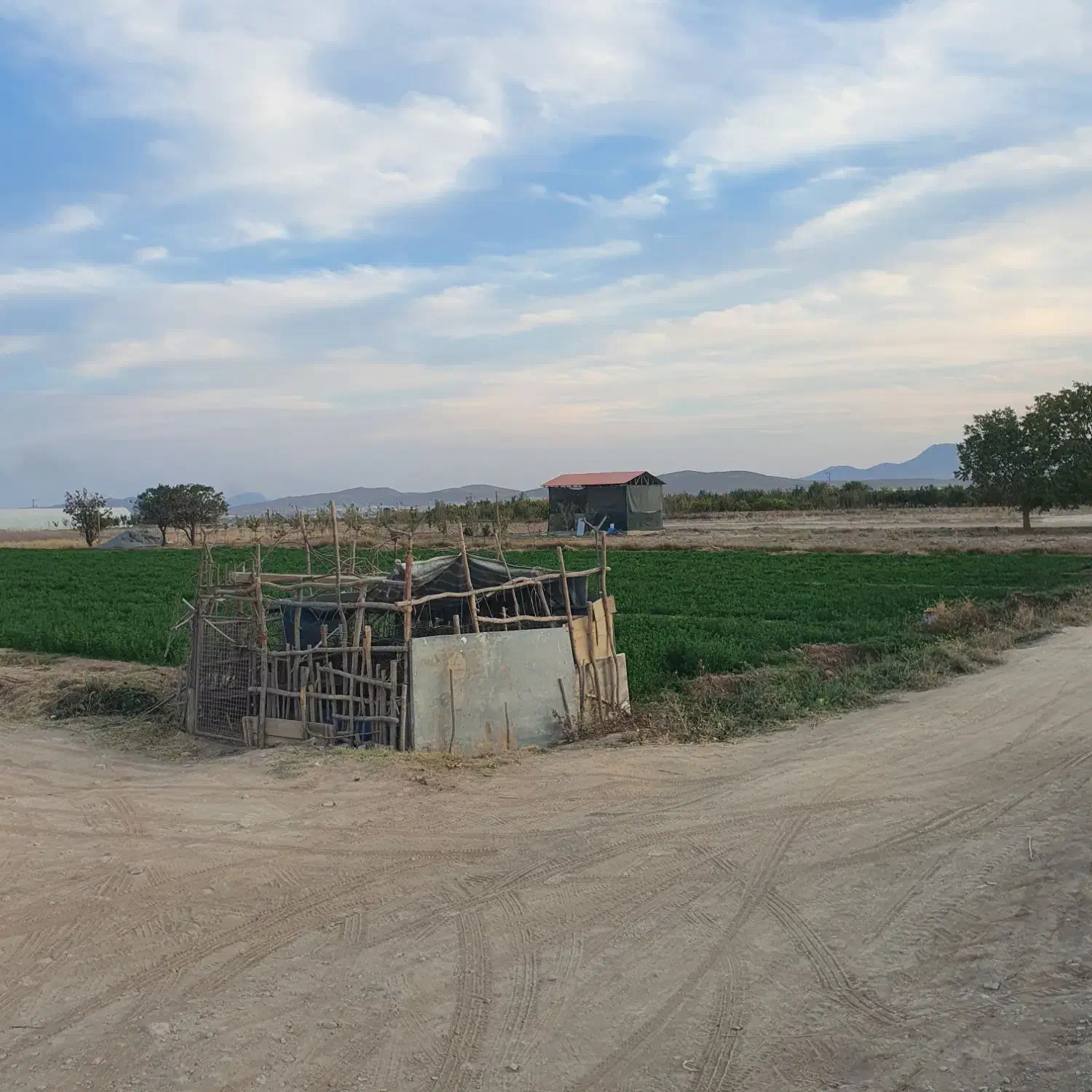 شراکت نیاز ب سرمایه با سود خوب|حیوانات مزرعه|اصفهان, برازنده|دیوار