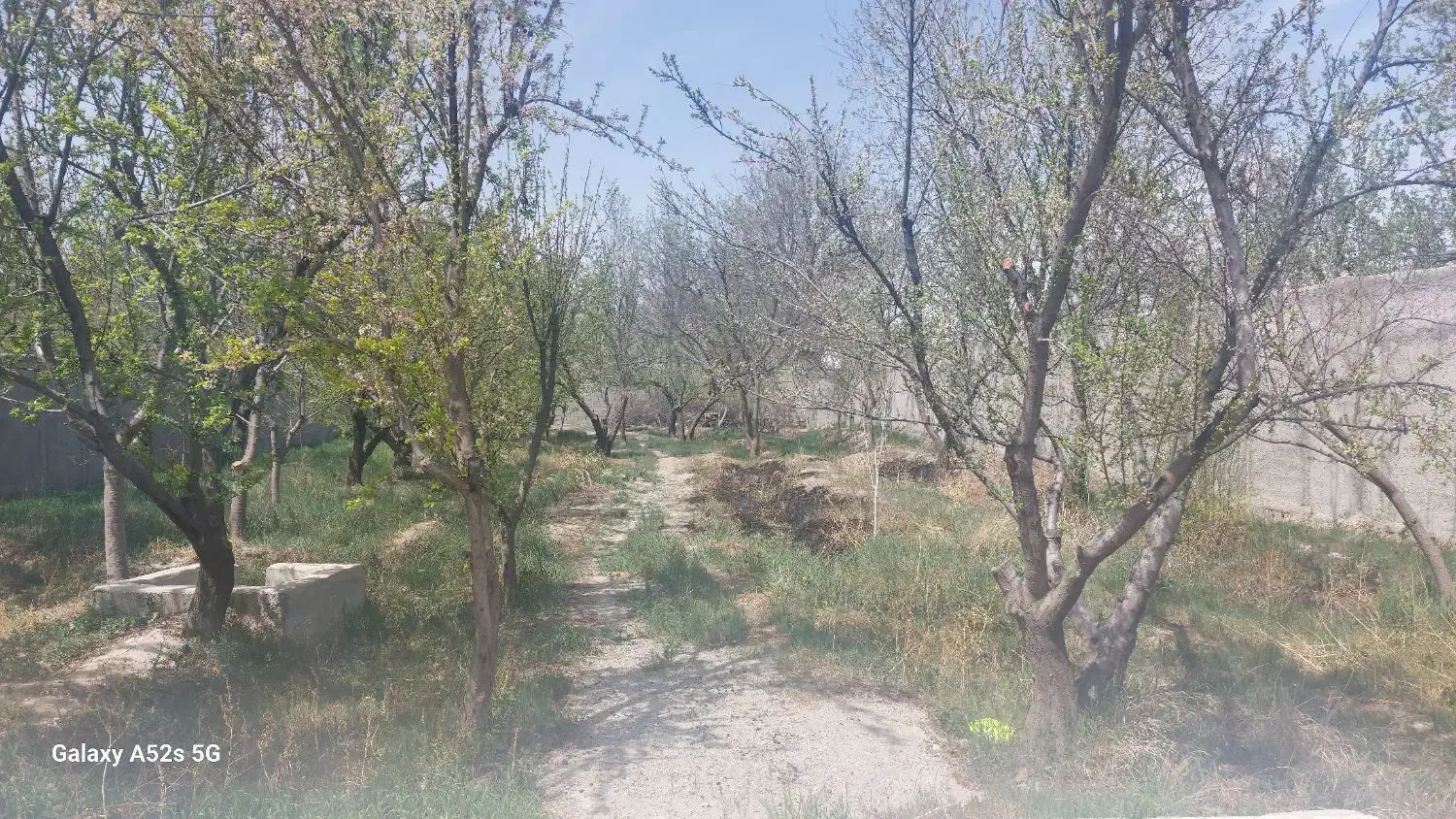 1000 متر زمین به همراه ۲۵ متر بنای قدیمی مهرچین|فروش زمین و ملک کلنگی|تهران, قزل قلعه|دیوار