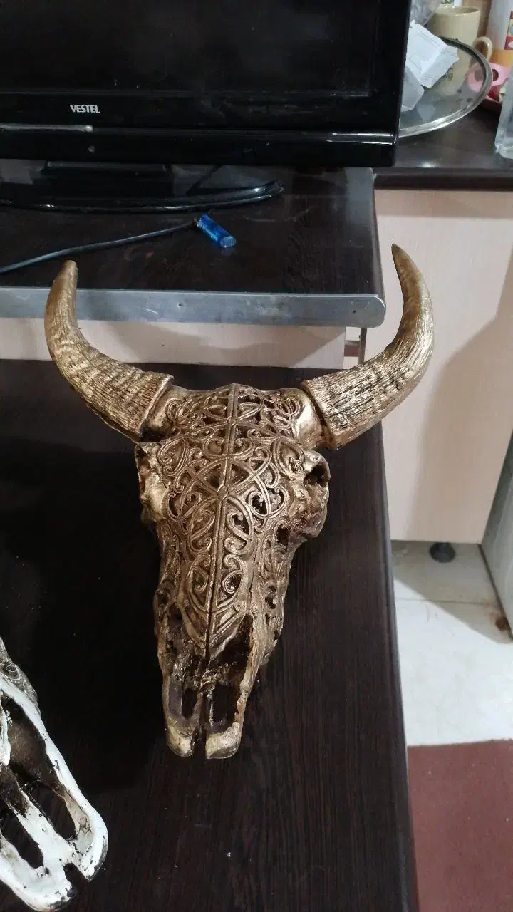 مجسمه بوفالو|مجسمه، تندیس، ماکت|مشهد, امام رضا (ع)|دیوار