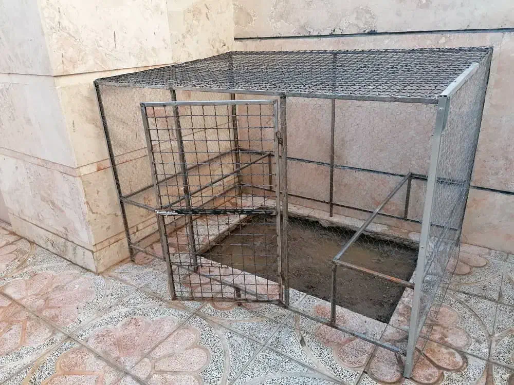 قفس مرغ وخروس یا کبوتر|لوازم جانبی حیوانات|شاهین‌شهر, گرگاب|دیوار